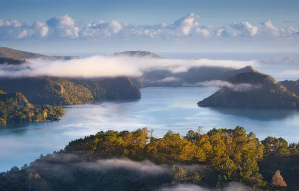 New zealand, blues, northland, whangaroa