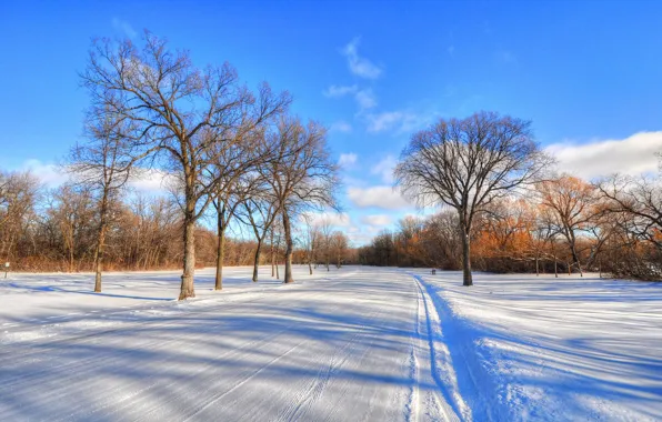 Картинка зима, дорога, небо, облака, снег, деревья, пейзаж, мороз