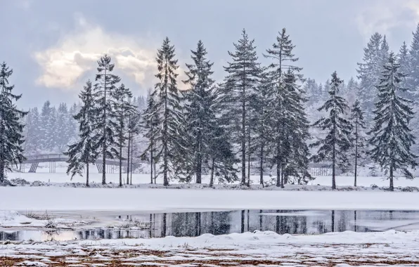 Картинка зима, снег, парк