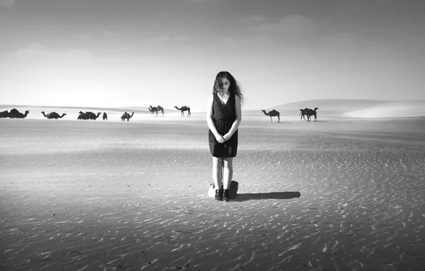 Девушка, одиночество, пустыня, арт, верблюды, Black and White, Silent Desert, lika
