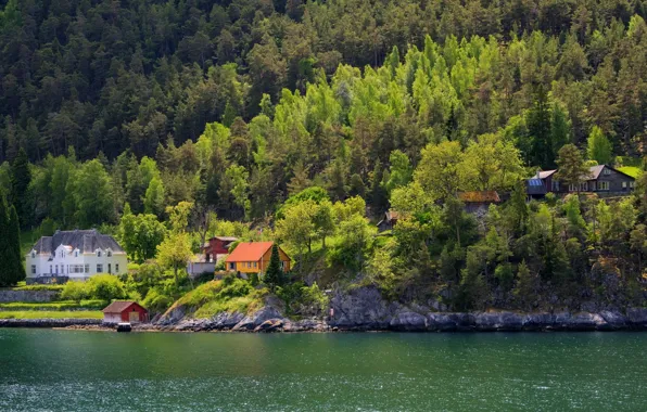 House, lake, town