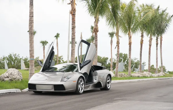 Lamborghini, supercar, Lamborghini Murcielago, Murcielago, lambo door