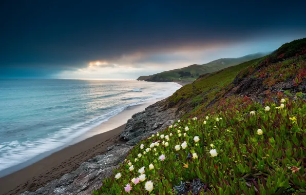Картинка пейзаж, природа, океан, побережье, растительность, Калифорния, США