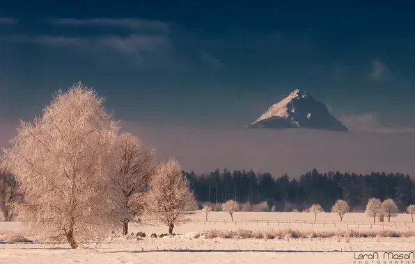 Зима, иней, лес, гора