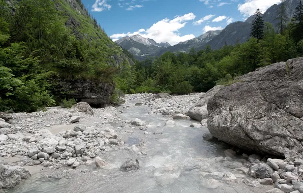Лес, горы, река, камни, поток