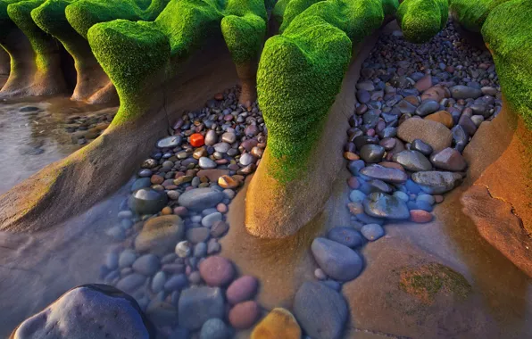 Картинка море, берег, камни. водоросли