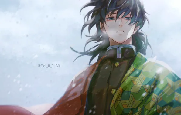 Парень, Kimetsu no Yaiba, Giyuu Tomioka, dal li 0130