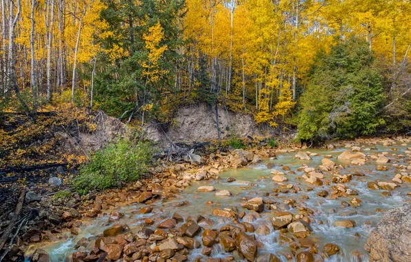 Осень, лес, камни, речка