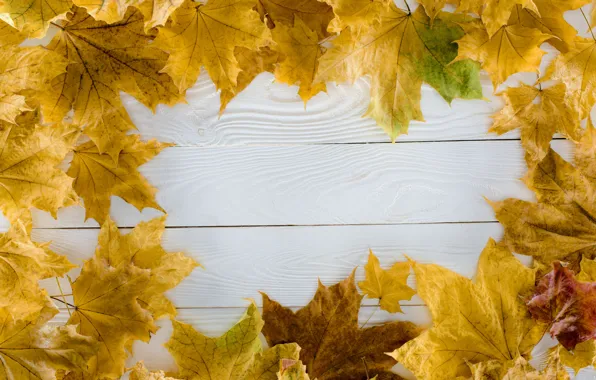 Картинка осень, листья, фон, дерево, доски, colorful, wood, background