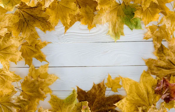 Осень, листья, фон, дерево, доски, colorful, wood, background