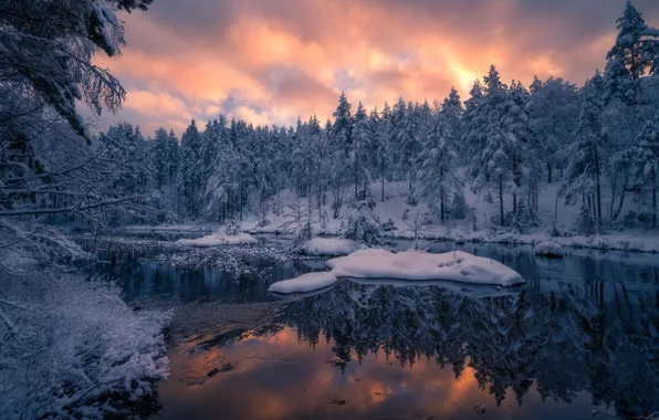 Картинка зима, лес, снег, деревья, закат, отражение, река, Норвегия