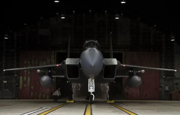ВВС США, истребитель-бомбардировщик, американский двухместный, McDonnell Douglas F-15E Strike Eagle