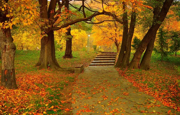 Осень, Парк, Fall, Листва, Дорожка, Park, Autumn, Colors