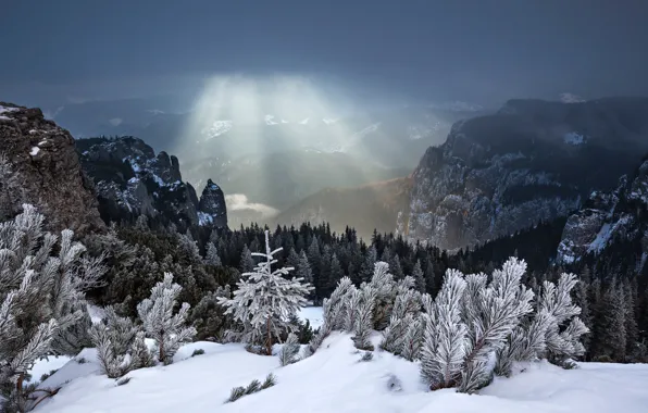 Картинка зима, лес, лучи, снег, горы, Румыния