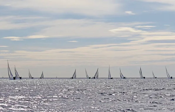 Море, спорт, яхты, паруса, регата