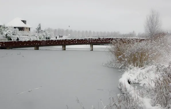 Зима, Снег, Пруд, Парк, Лёд, Мороз, Winter, Frost