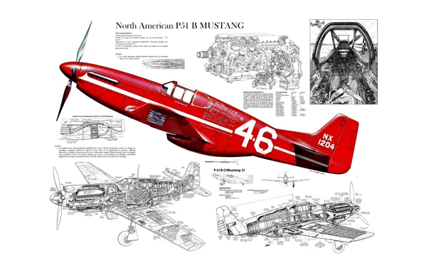 Картинка конструкция, Mustang, схема, истребитель, North American, P-51B