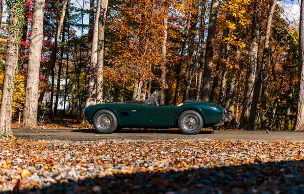 Картинка Shelby, Cobra, side view, Shelby Cobra 289