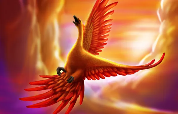 Полет, птица, существо, арт, феникс, в небе, goldenphoenix100