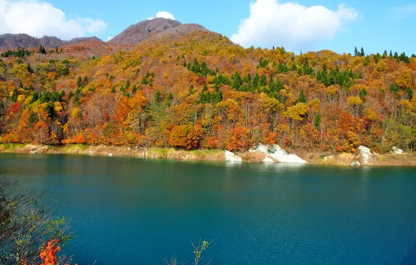 Картинка осень, лес, небо, деревья, река, холмы
