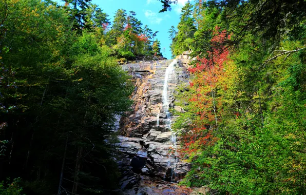 Картинка Природа, Водопад, Осень, Скалы, Деревья, Nature, Fall, Autumn