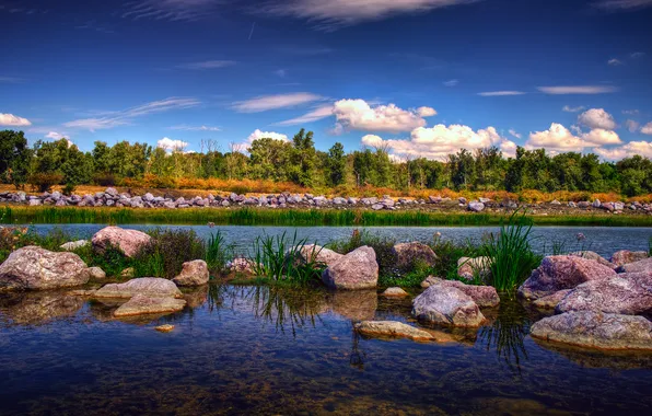 Картинка деревья, парк, камни, Romania, Румыния, Gheraiesti Park, Bacau city