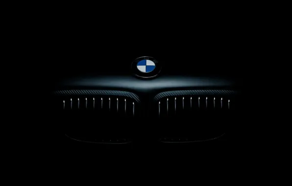 Картинка значок, бмв, капот, BMW, front, E46, шильдик, радиаторная решётка