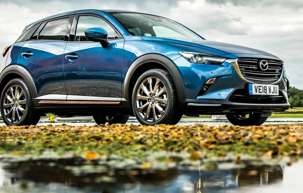 Листья, синий, парк, лужи, Mazda, CX-3, Mazda CX-3
