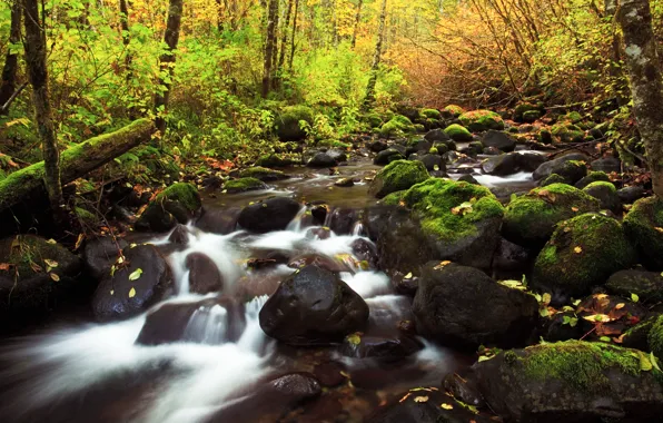 Картинка осень, природа, река, камни, листва, потоки