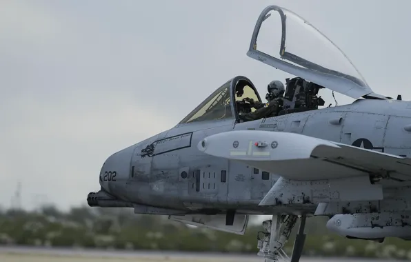 Фонарь, USAF, Пилот, Штурмовик, A-10C Thunderbolt II, Кокпит