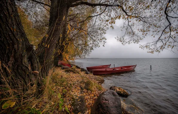Картинка осень, деревья, пейзаж, природа, озеро, камни, листва, лодки