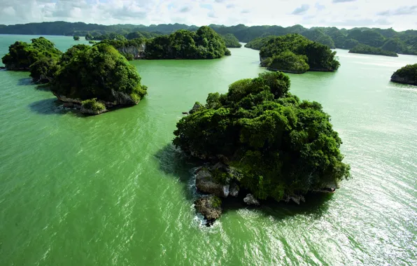 Картинка зелень, вода, острова, суша, материк