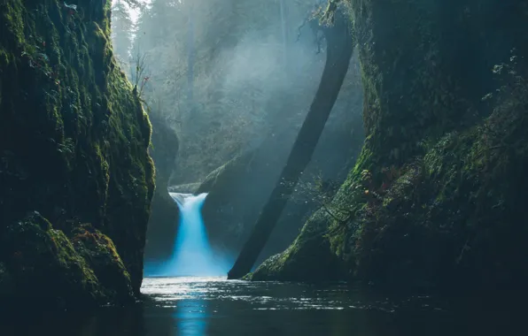 Картинка лес, вода, природа, водопад