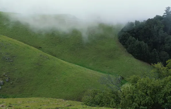 Зеленый, туман, холмы