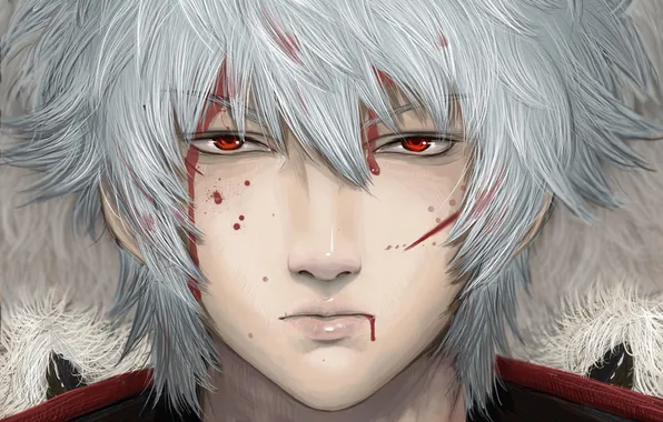 Картинка кровь, парень, красные глаза, белые волосы, Gintama, Sakata Gintoki