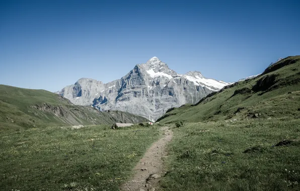 Картинка пейзаж, горы, природа, гора, тропинка, Switzerland, Grindelwald, the Bachalpsee near the First and Waldspitz mountains