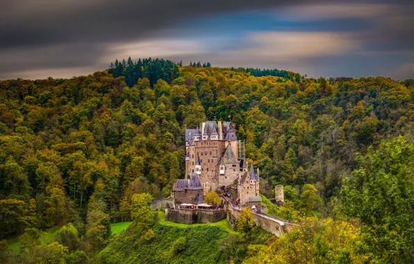 Лес, деревья, замок, Германия, Эльц, Burg Eltz