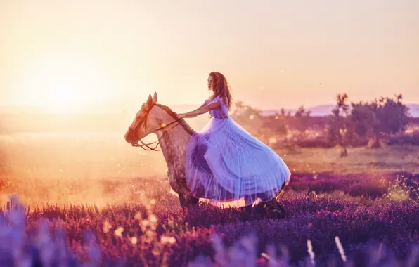 Картинка девушка, конь, лошадь, платье, вереск, Кристина Макеева