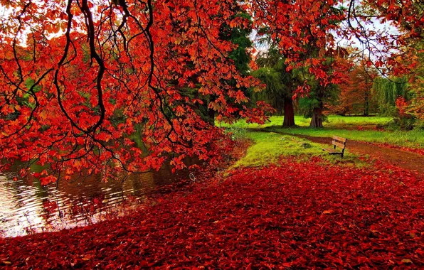 Картинка осень, листья, скамейка, парк