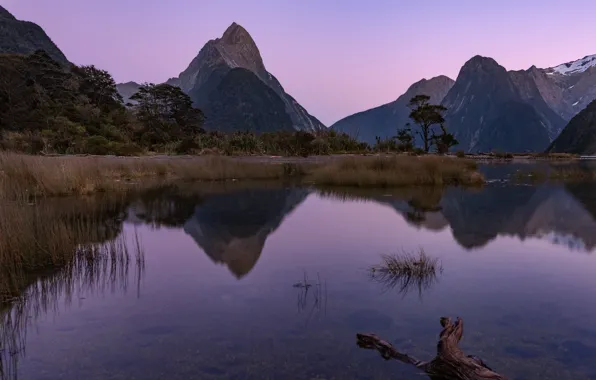 Небо, вода, деревья, горы, природа, озеро, скалы, Новая Зеландия