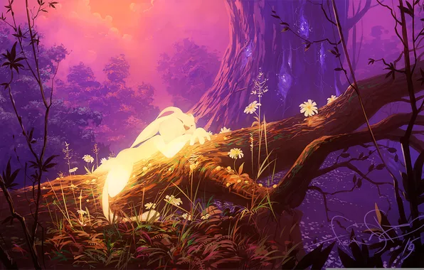 Лес, деревья, арт, Ori, Ori and the Blind Forest