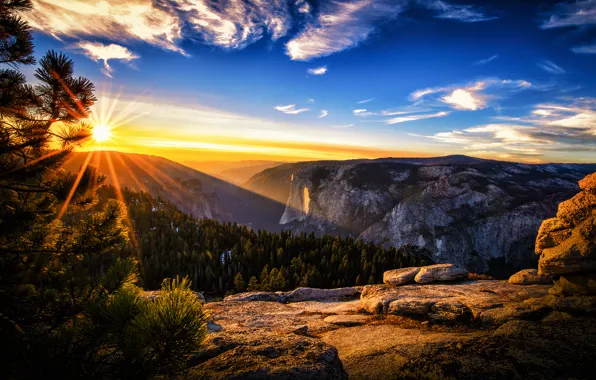 Картинка лето, солнце, лучи, утро, Калифорния, США, Йосемити, национальный парк