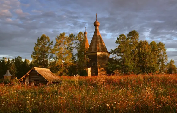 Поле, сосны, Россия, архитектура, деревянное зодчество