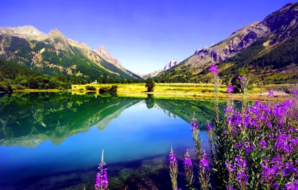 Картинка небо, цветы, горы, озеро