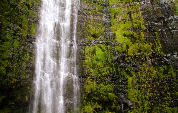 Водопад, Гавайи, USA, США, Hawaii, Национальный парк Халеакала, Maui, Haleakalā National Park
