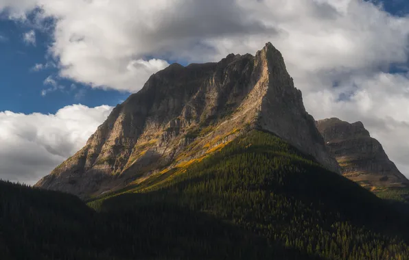 Forest, landscape, nature, clouds, Glacier National Park, Montana, cliff
