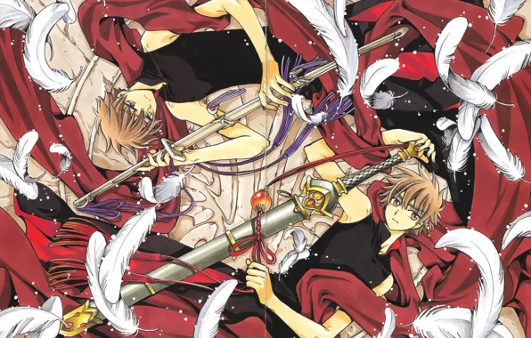 Lee, sakura, tsubasa chronicle