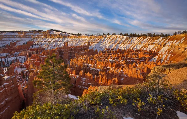 Снег, скалы, каньон, ущелье, Юта, США, Bryce Canyon National Park