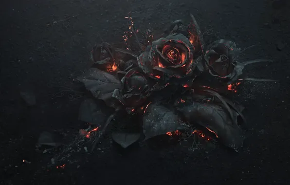 Пепел, угли, art, зола, черные розы, сожженный, Arsthanea