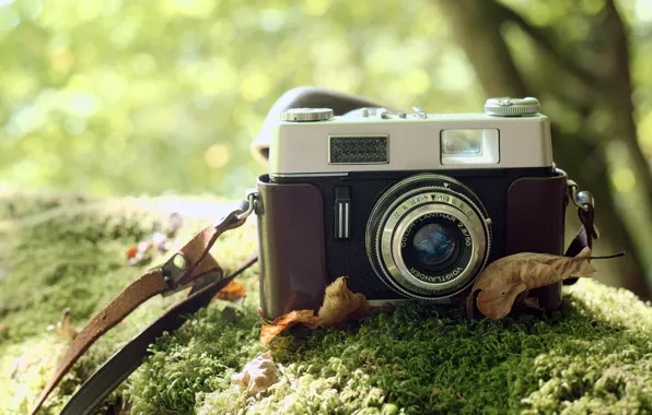 Макро, фон, камера